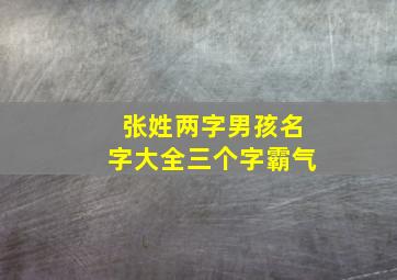 张姓两字男孩名字大全三个字霸气