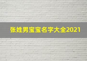 张姓男宝宝名字大全2021