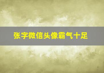 张字微信头像霸气十足