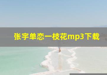 张宇单恋一枝花mp3下载