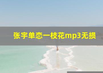 张宇单恋一枝花mp3无损