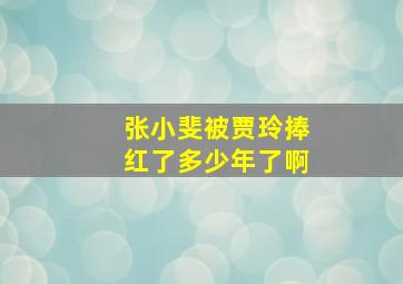 张小斐被贾玲捧红了多少年了啊