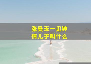 张曼玉一见钟情儿子叫什么