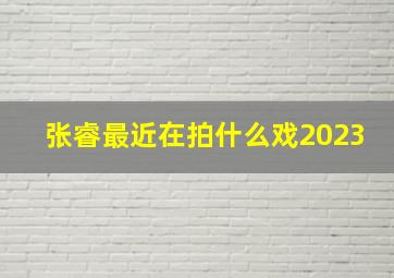 张睿最近在拍什么戏2023