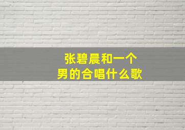 张碧晨和一个男的合唱什么歌