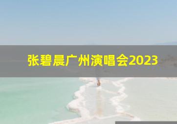 张碧晨广州演唱会2023