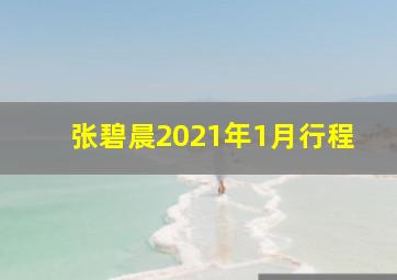 张碧晨2021年1月行程