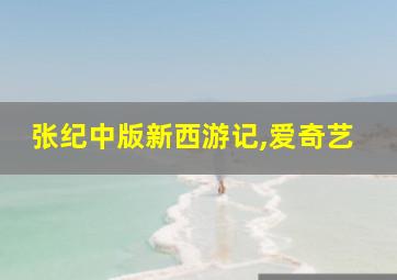 张纪中版新西游记,爱奇艺