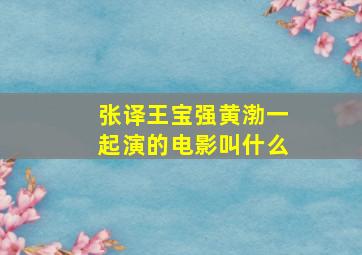 张译王宝强黄渤一起演的电影叫什么