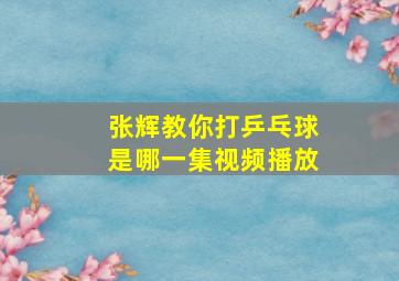 张辉教你打乒乓球是哪一集视频播放