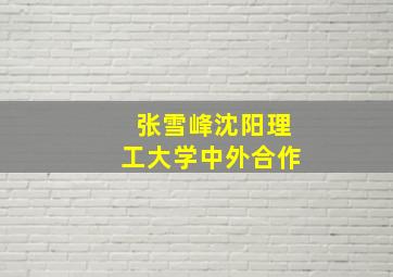 张雪峰沈阳理工大学中外合作