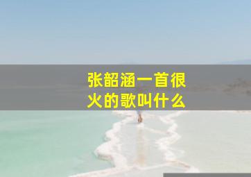 张韶涵一首很火的歌叫什么