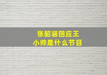 张韶涵回应王小帅是什么节目