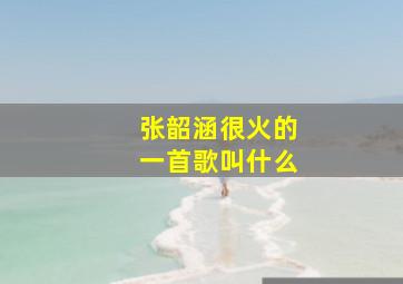 张韶涵很火的一首歌叫什么