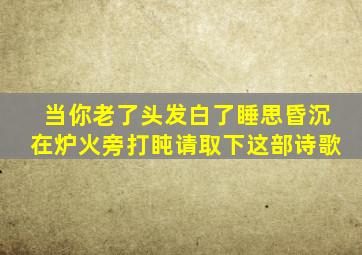 当你老了头发白了睡思昏沉在炉火旁打盹请取下这部诗歌