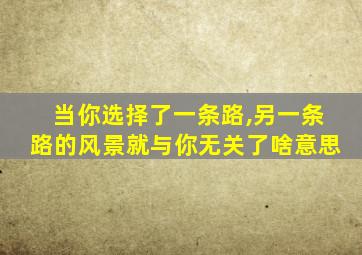 当你选择了一条路,另一条路的风景就与你无关了啥意思