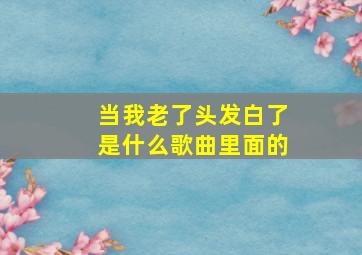 当我老了头发白了是什么歌曲里面的