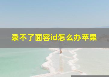 录不了面容id怎么办苹果