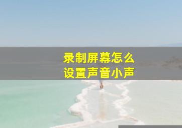 录制屏幕怎么设置声音小声