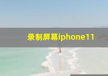 录制屏幕iphone11