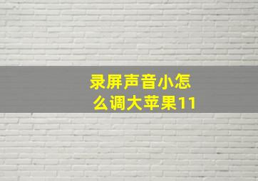 录屏声音小怎么调大苹果11