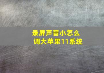 录屏声音小怎么调大苹果11系统