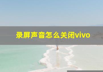 录屏声音怎么关闭vivo