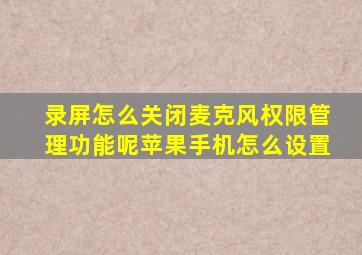 录屏怎么关闭麦克风权限管理功能呢苹果手机怎么设置