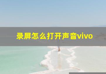 录屏怎么打开声音vivo