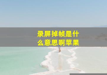 录屏掉帧是什么意思啊苹果