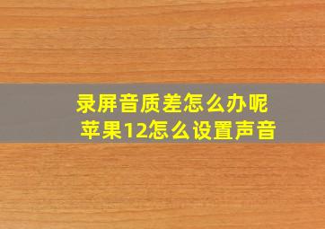 录屏音质差怎么办呢苹果12怎么设置声音