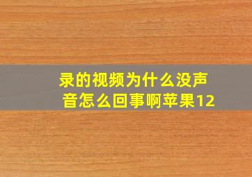 录的视频为什么没声音怎么回事啊苹果12