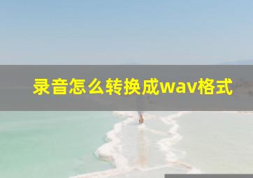 录音怎么转换成wav格式