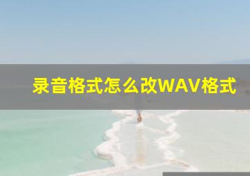 录音格式怎么改WAV格式