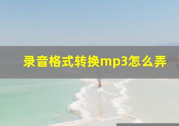 录音格式转换mp3怎么弄