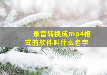 录音转换成mp4格式的软件叫什么名字