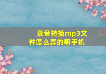 录音转换mp3文件怎么弄的啊手机