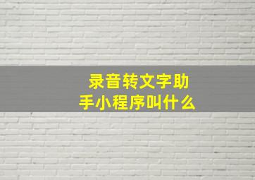 录音转文字助手小程序叫什么