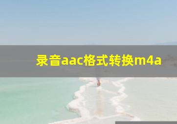 录音aac格式转换m4a