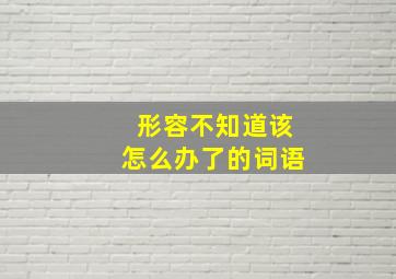 形容不知道该怎么办了的词语