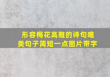 形容梅花高雅的诗句唯美句子简短一点图片带字