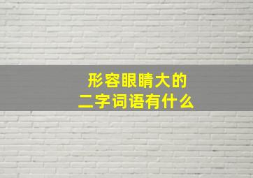 形容眼睛大的二字词语有什么