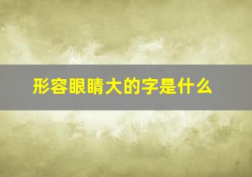 形容眼睛大的字是什么