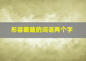 形容眼睛的词语两个字