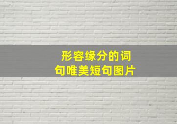 形容缘分的词句唯美短句图片