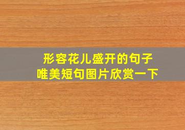 形容花儿盛开的句子唯美短句图片欣赏一下