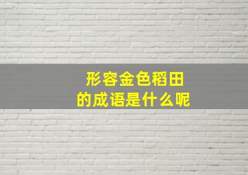 形容金色稻田的成语是什么呢