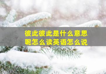 彼此彼此是什么意思呢怎么读英语怎么说