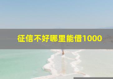 征信不好哪里能借1000