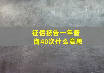 征信报告一年查询40次什么意思